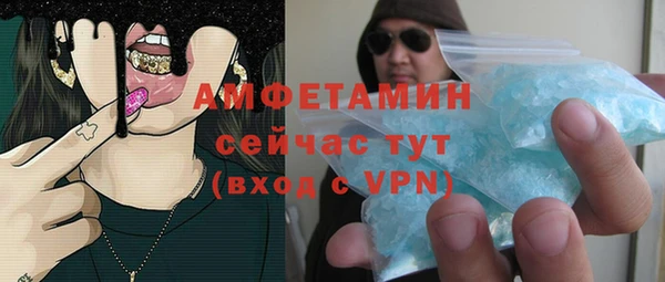 шишки Магас