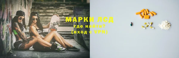 шишки Магас