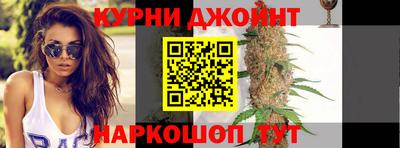 стафф Гатчина