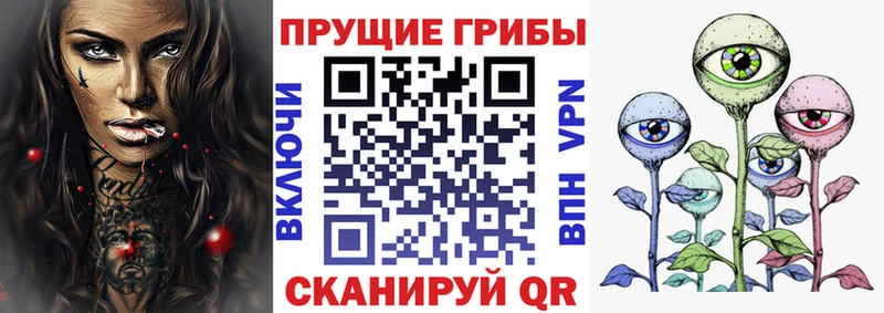 Псилоцибиновые грибы Psilocybine cubensis наркошоп Екатеринбург