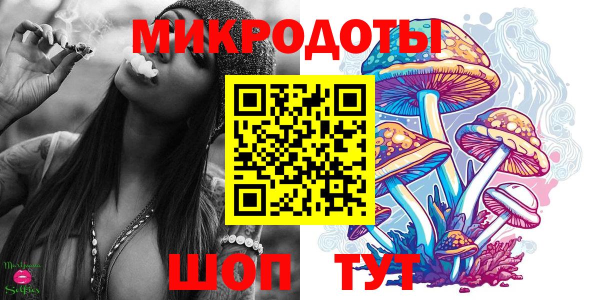 Галлюциногенные грибы Psilocybe Екатеринбург