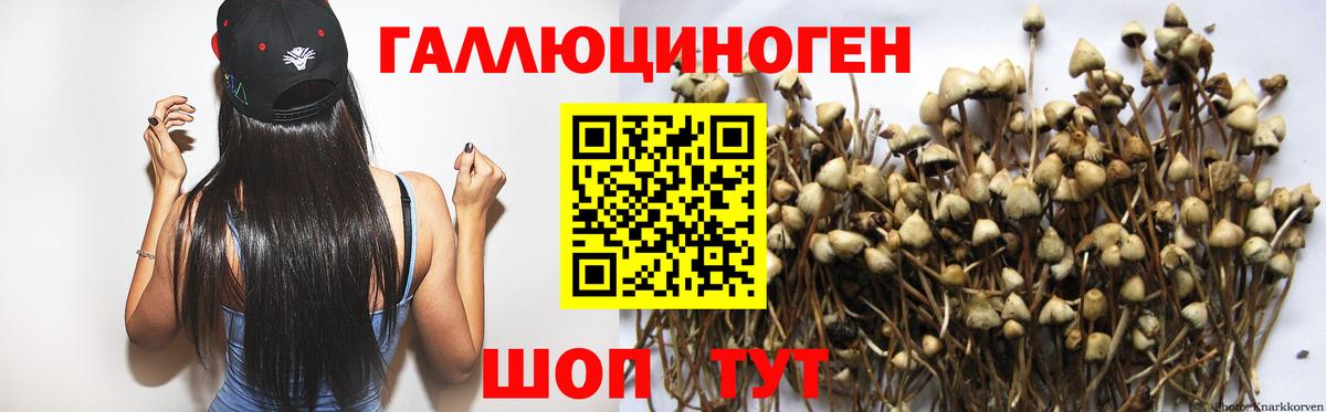 Екатеринбург  Псилоцибиновые грибы Cubensis  Псилоцибиновые грибы мухоморы  Вход с VPN 